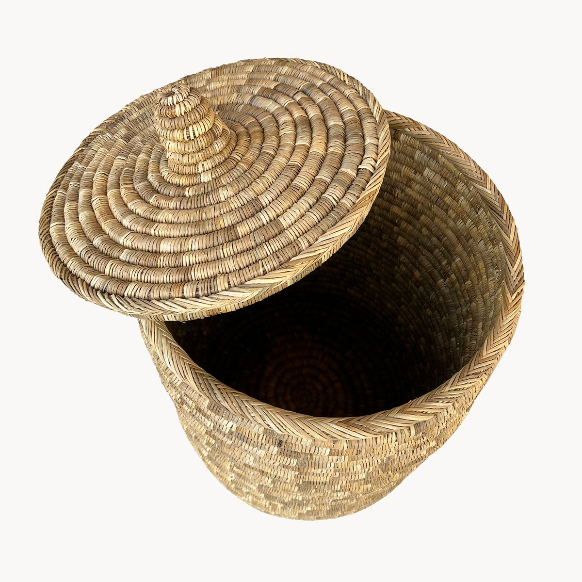Palm Laundry/Storage Hamper with Lid - Apartment F