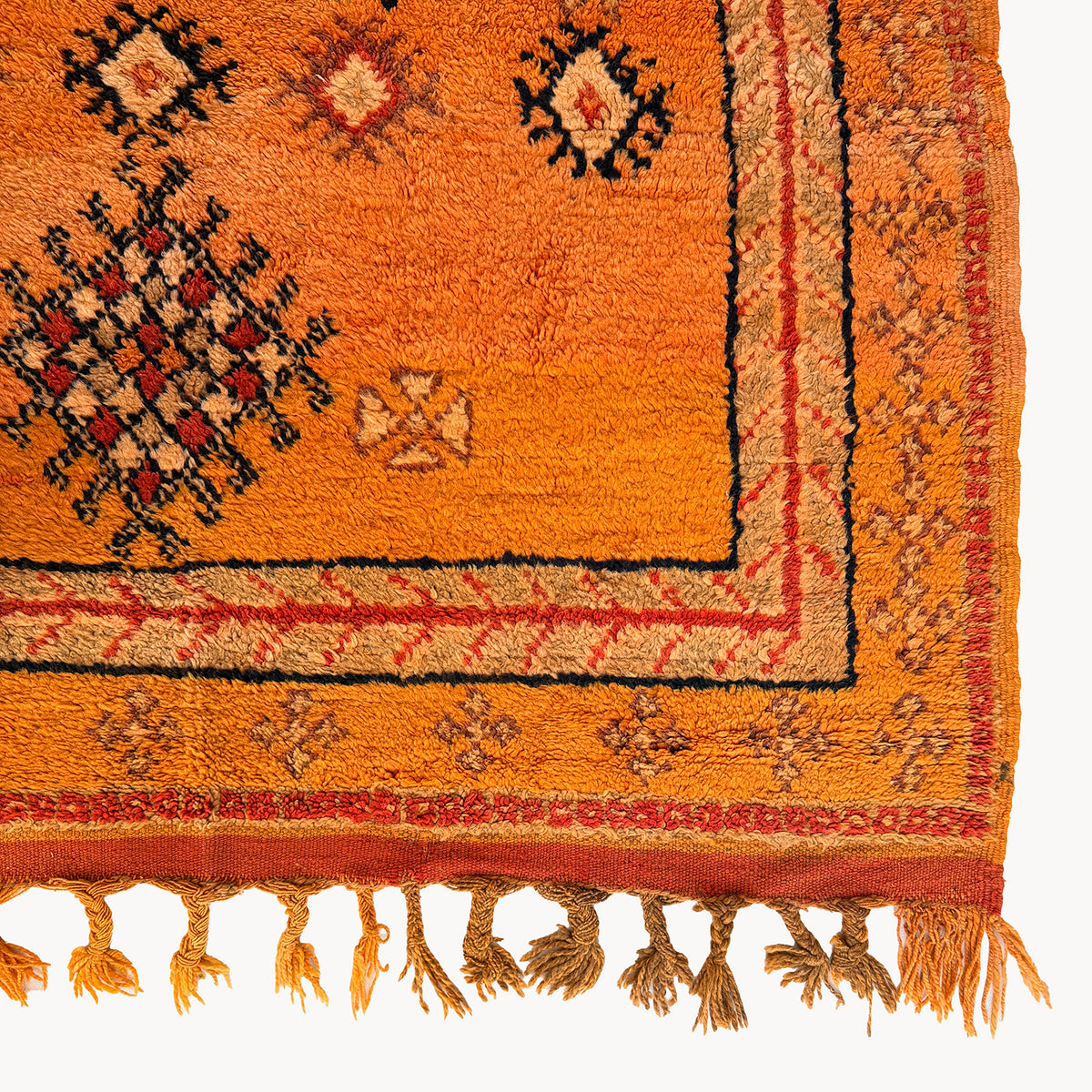 Kamala Moroccan Taznakht Rug | 5’1” x 9’7” - Apartment F