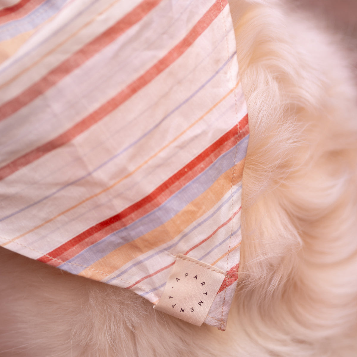 Pup Bandana - Apartment F