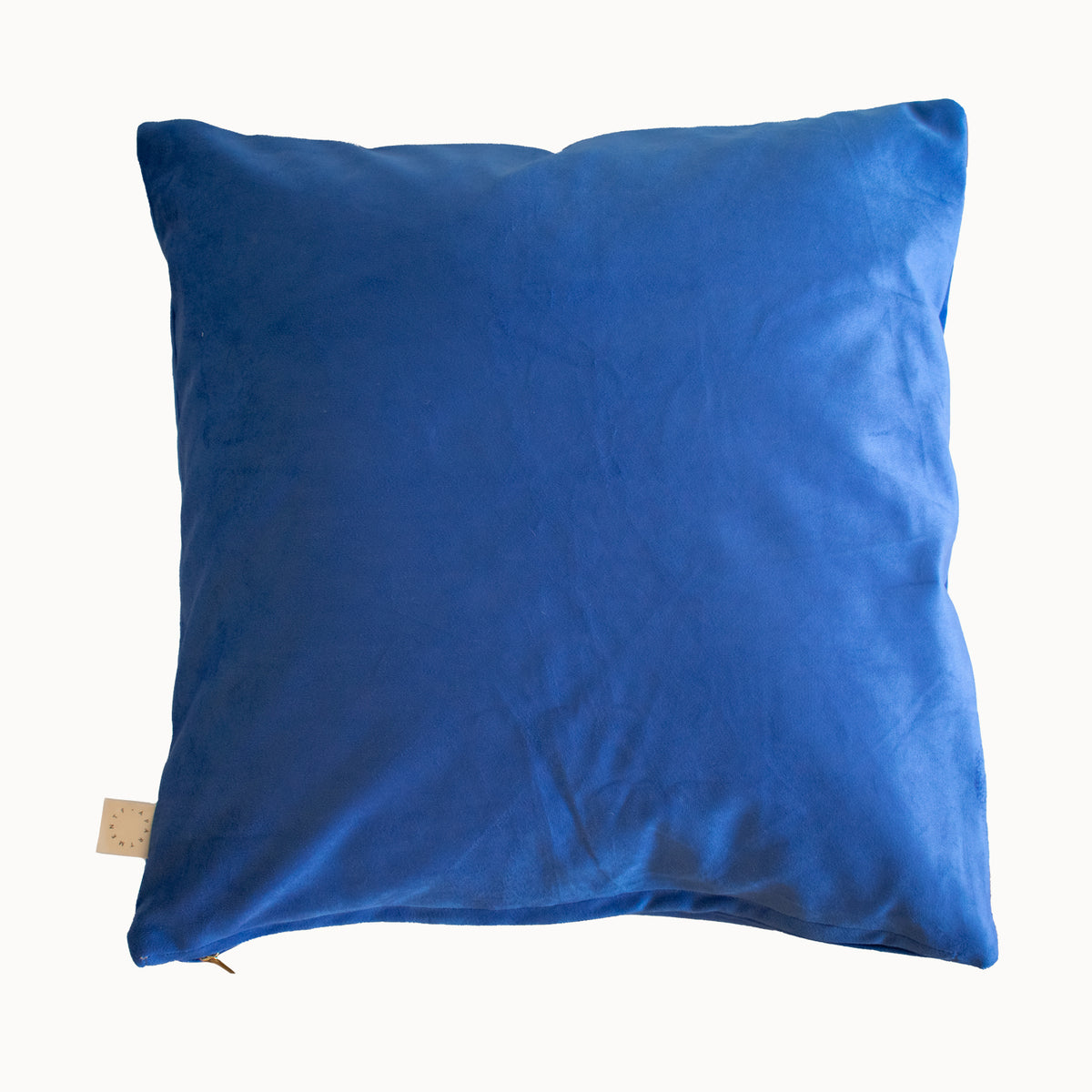 Reversible Velvet Pillow - Apartment F