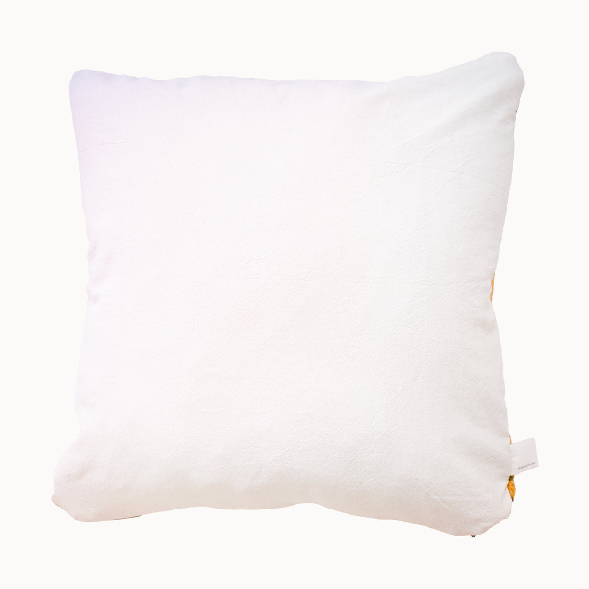 Marza Upcycled Taznakht Rug Pillow - Apartment F