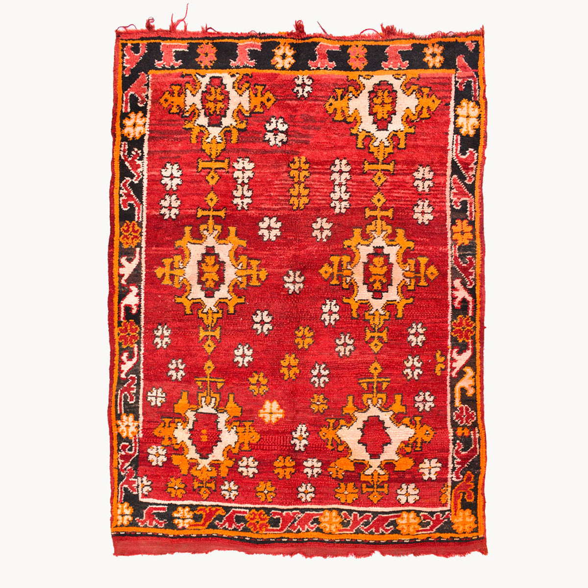 Rokaia Hand-Knotted Moroccan Wool Rug | 3'11" x 5'9" - Apartment F