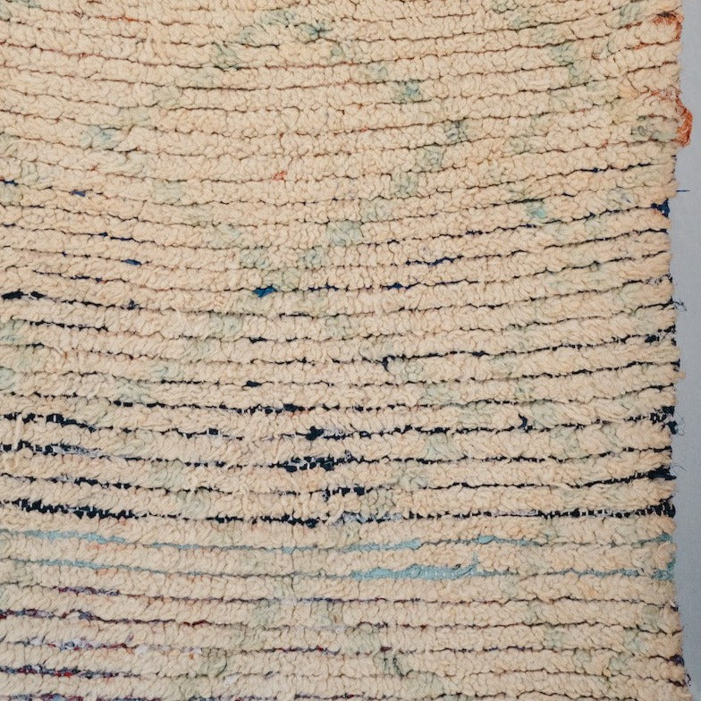 Adil Vintage Runner | 2'6" x 10'5" - Apartment F