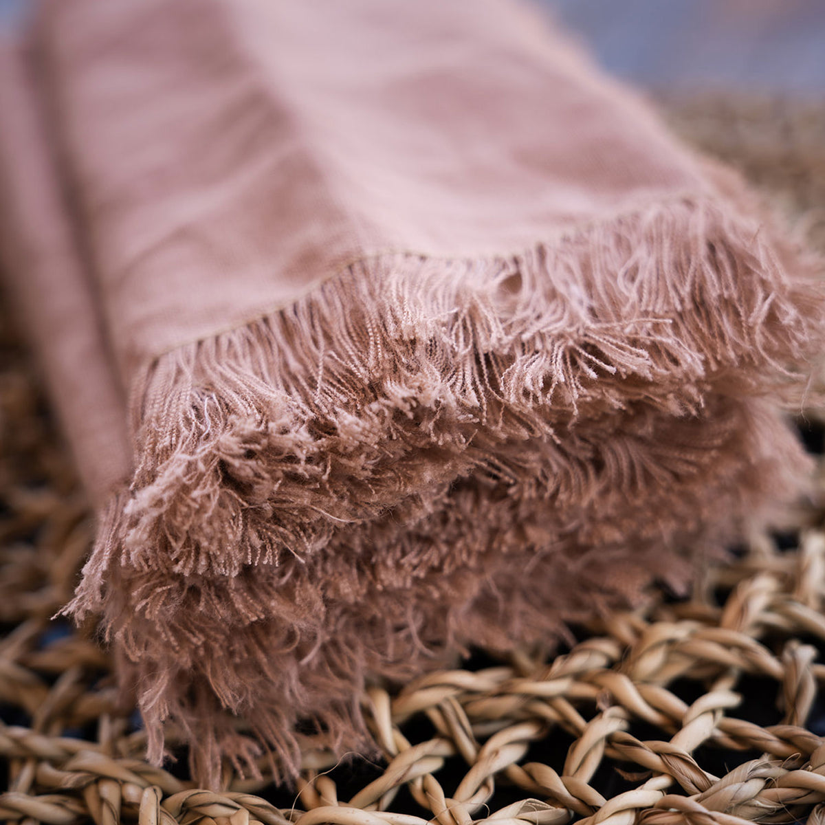 Fringe Linen Napkins | Set of 2 - Apartment F