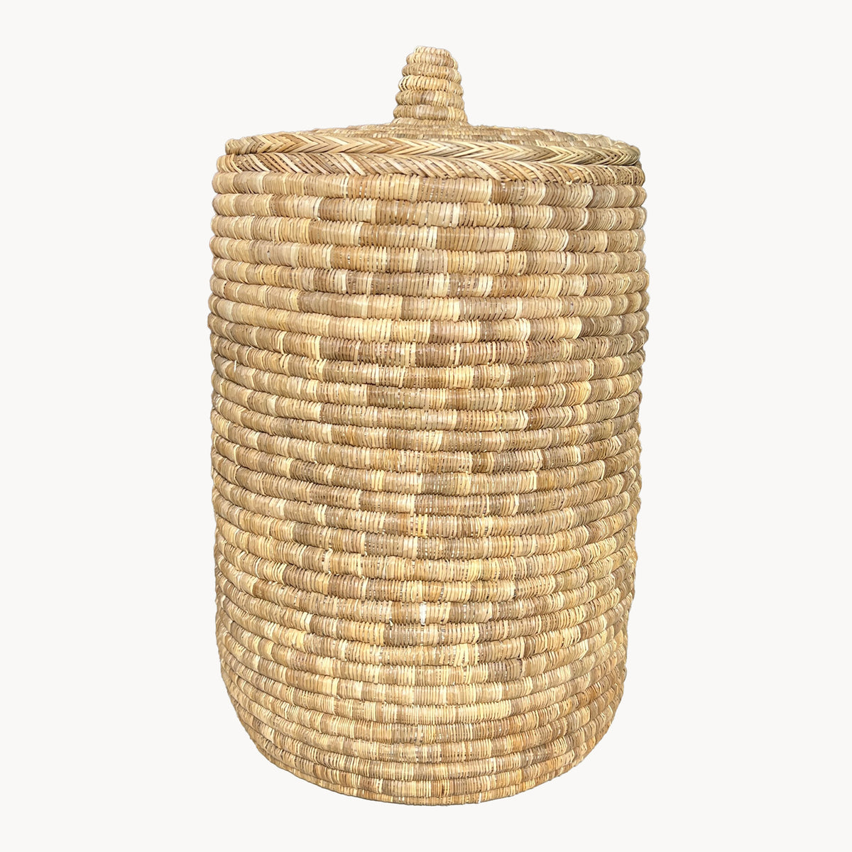 Palm Laundry/Storage Hamper with Lid - Apartment F