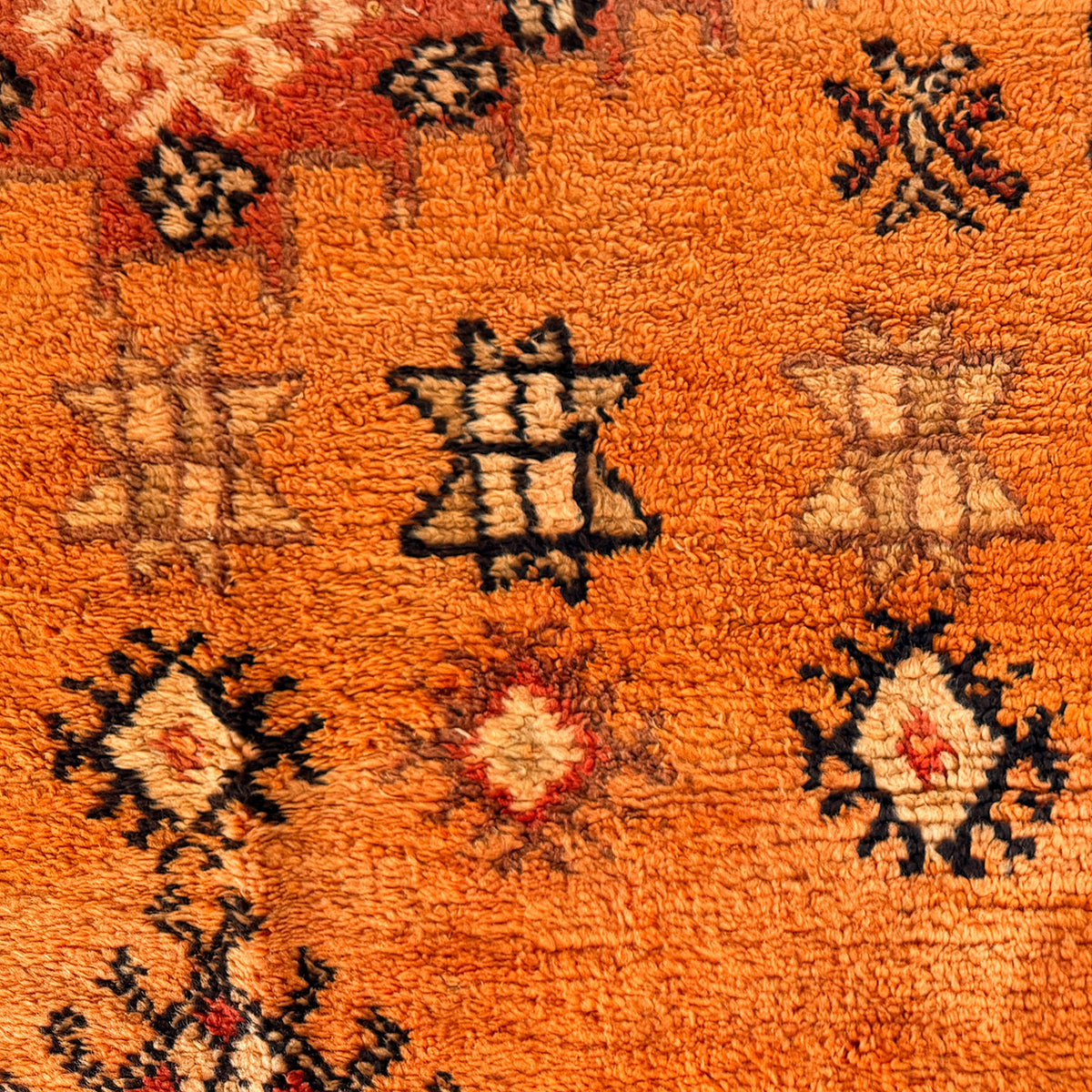 Kamala Moroccan Taznakht Rug | 5’1” x 9’7” - Apartment F