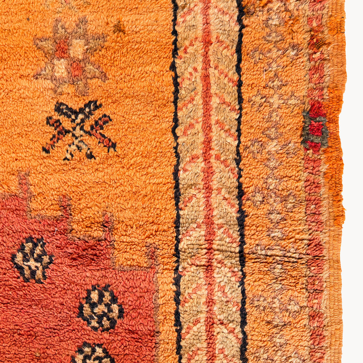 Kamala Moroccan Taznakht Rug | 5’1” x 9’7” - Apartment F