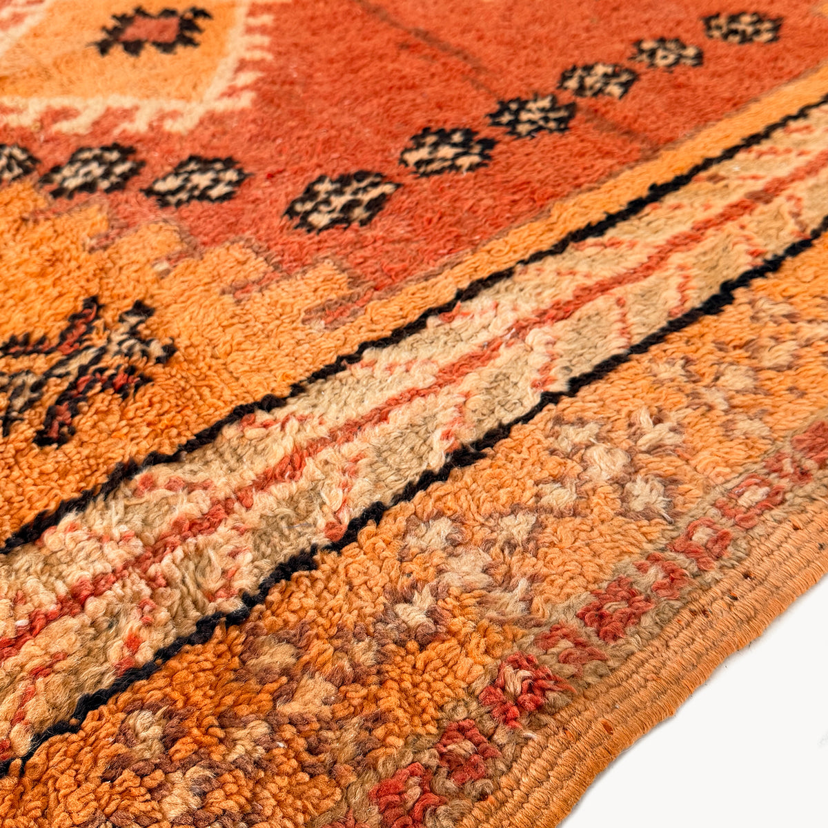 Kamala Moroccan Taznakht Rug | 5’1” x 9’7” - Apartment F
