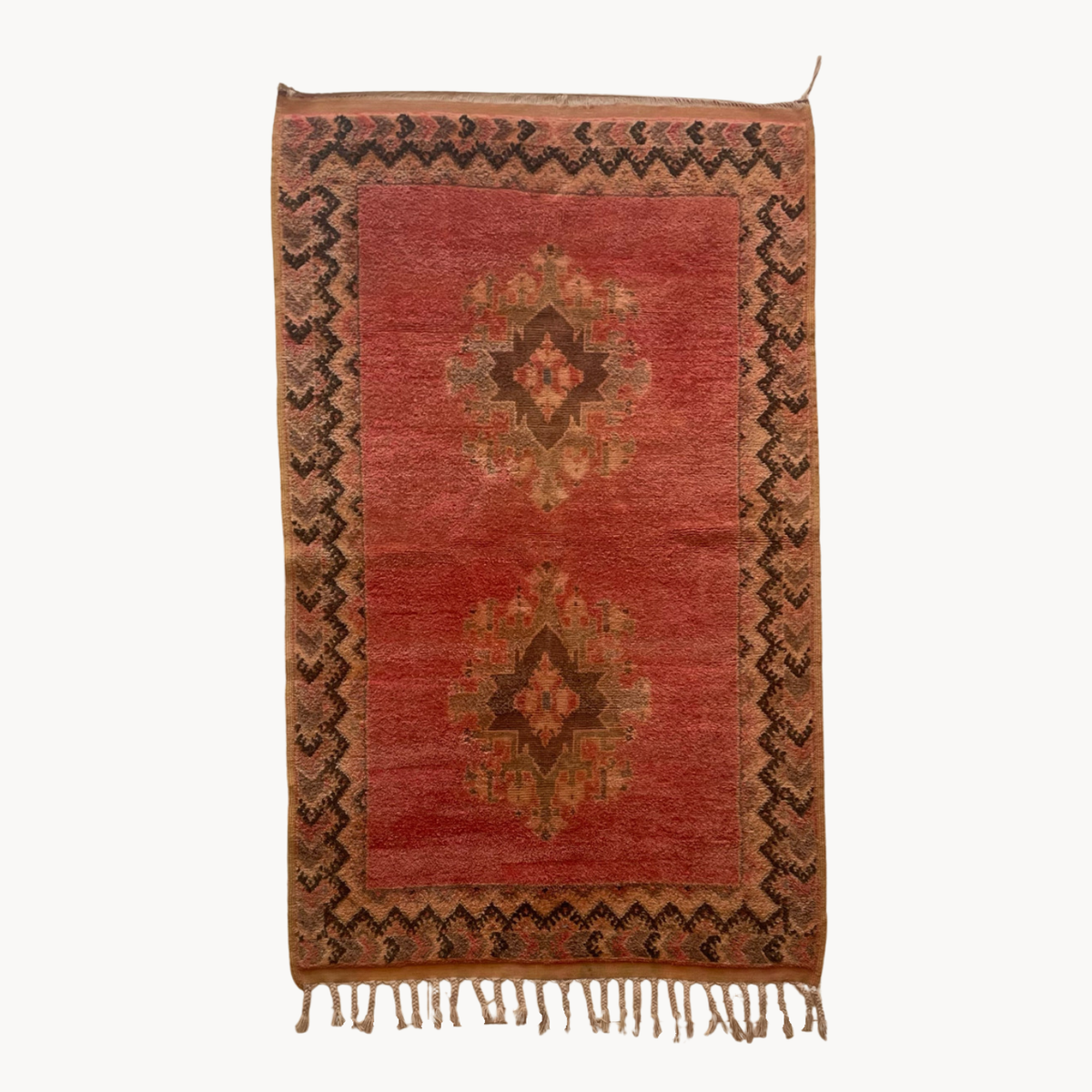 Taznakht Rug - Apartment F