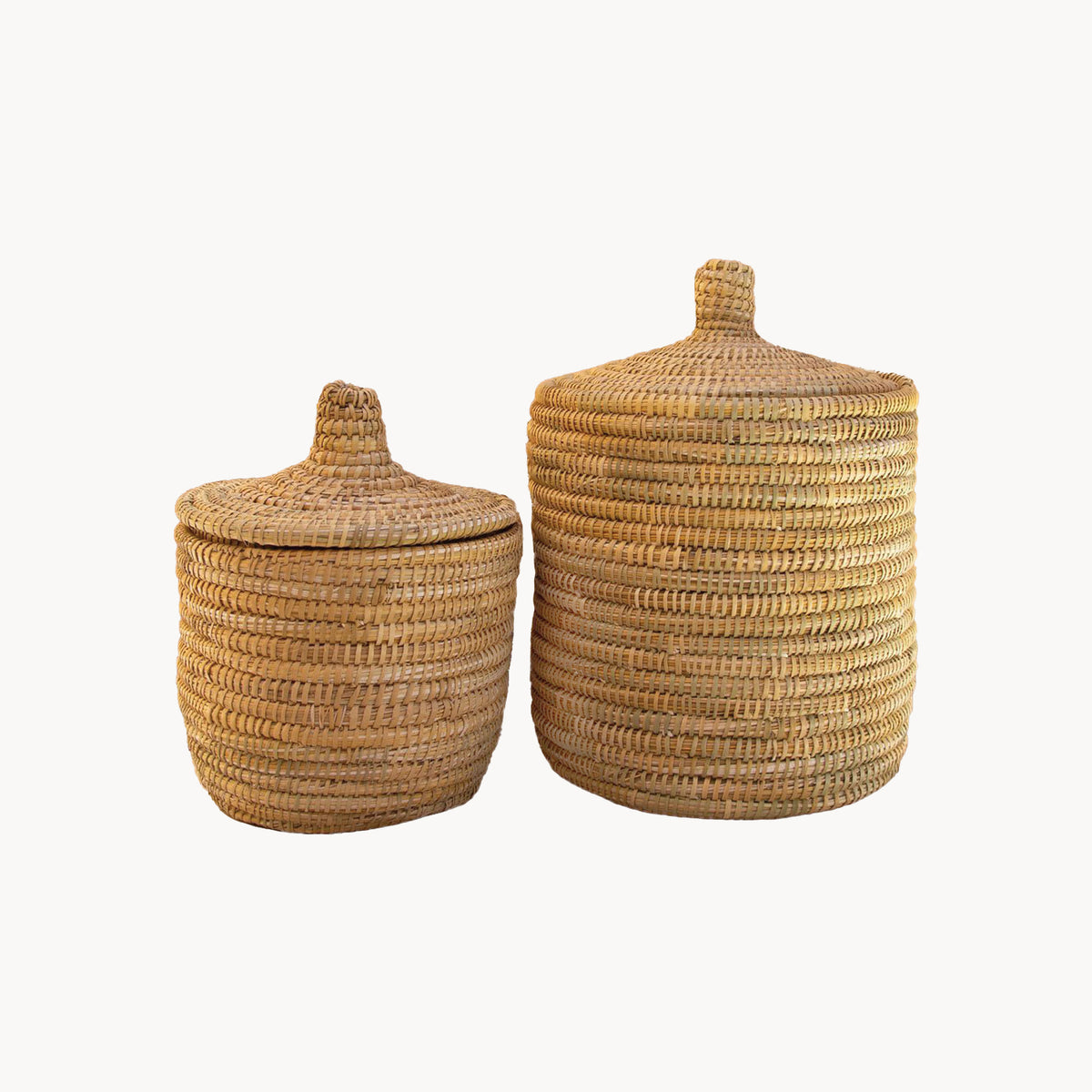 Palm Lidded Storage Baskets - Apartment F
