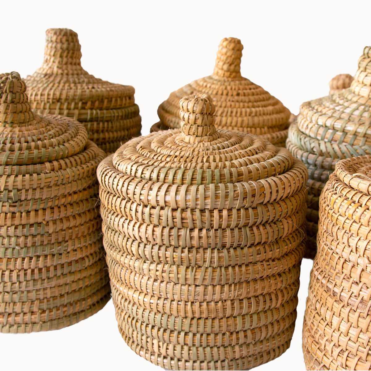 Palm Lidded Storage Baskets - Apartment F