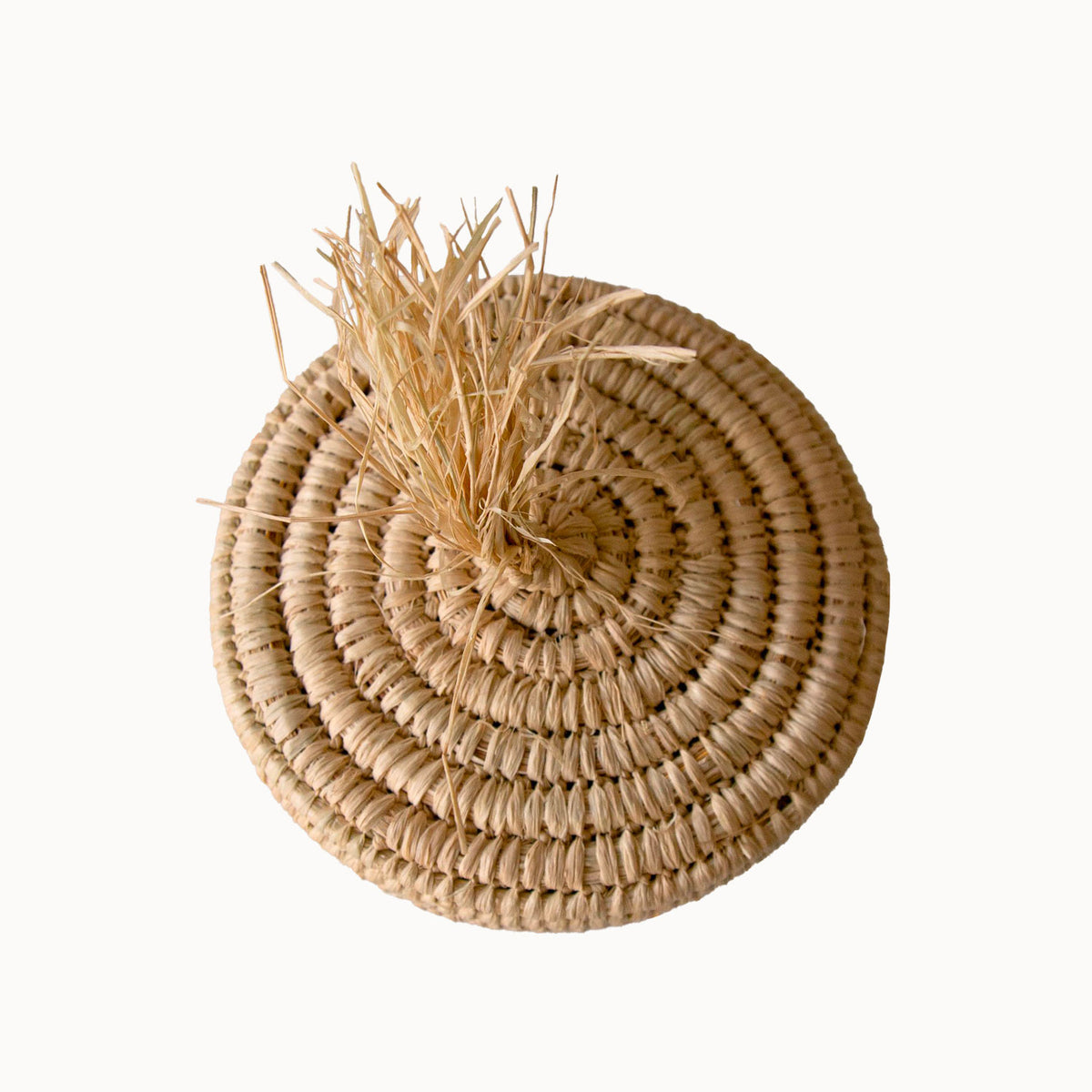 Mini Raffia Basket - Apartment F