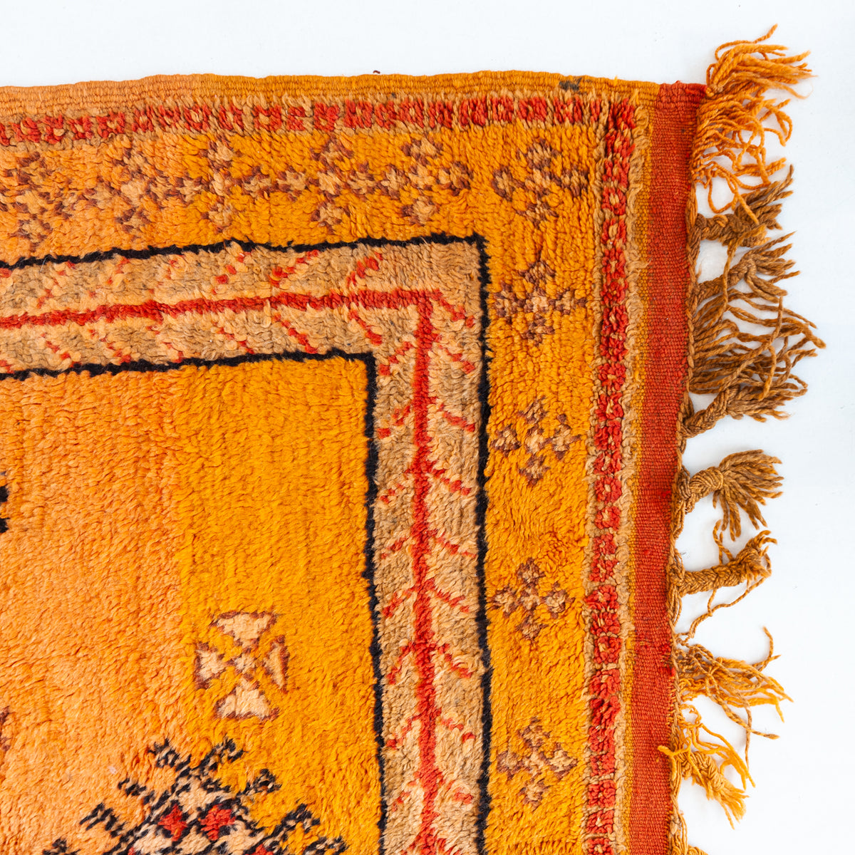 Kamala Moroccan Taznakht Rug | 5’1” x 9’7” - Apartment F
