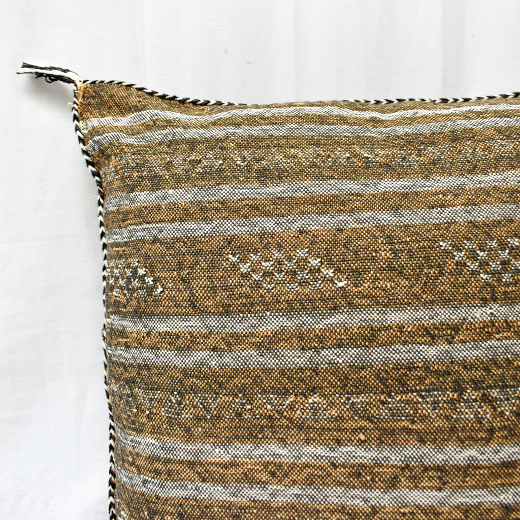 Desert Stripe Cactus Silk Pillow - Apt. F x APT F