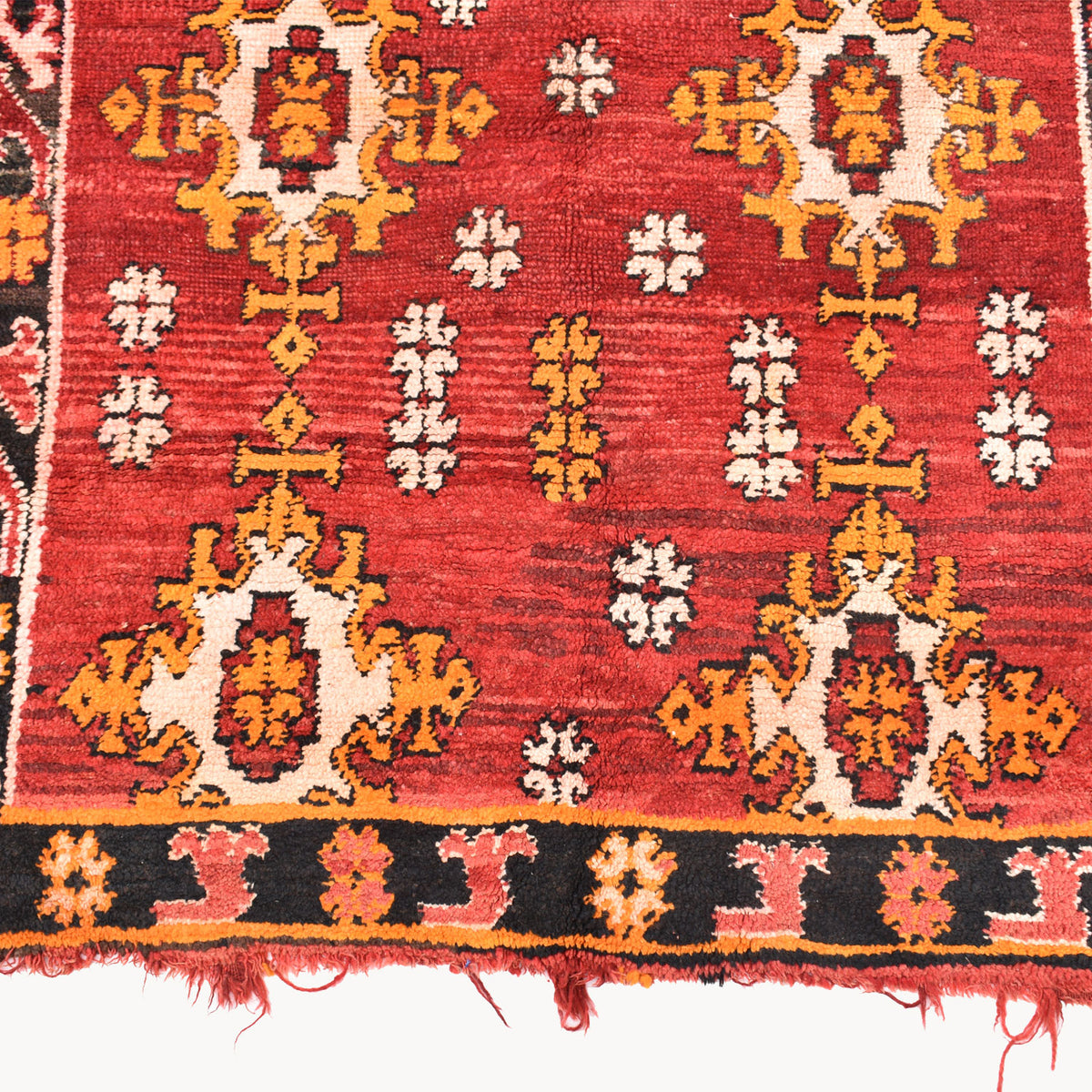 Rokaia Hand-Knotted Moroccan Wool Rug | 3'11" x 5'9" - Apartment F