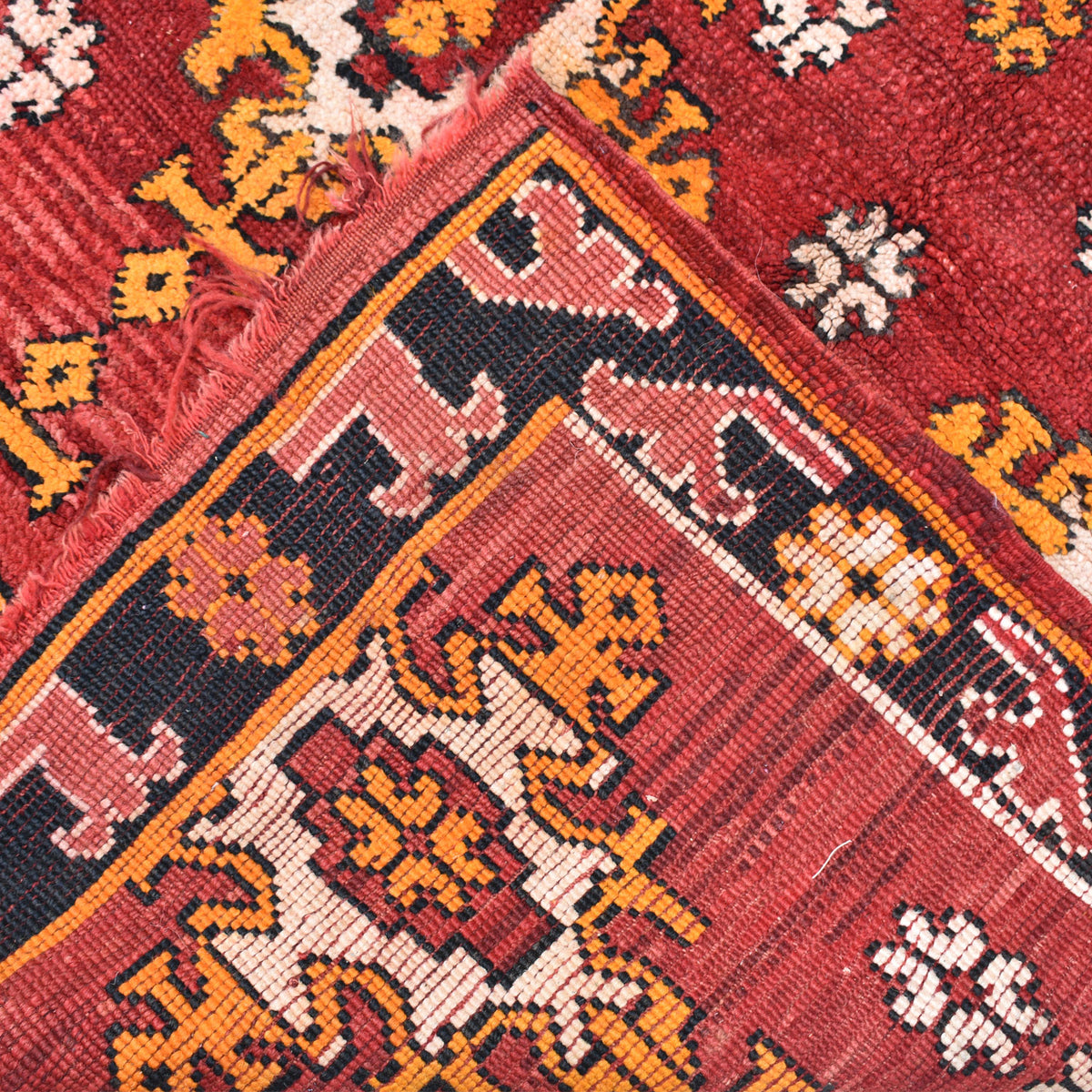 Rokaia Hand-Knotted Moroccan Wool Rug | 3'11" x 5'9" - Apartment F